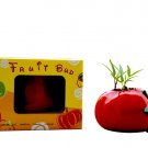 Tomato gift; Ceramic Tomato