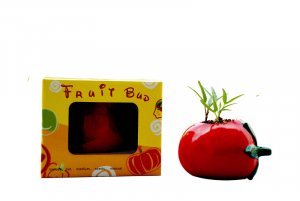 Tomato gift; Ceramic Tomato