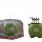 Piggy Plant;garden craft,home decoration(green)
