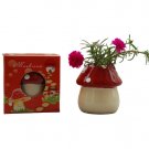 Mushroom planter; Mushroom gift;Ceramic Mushroom(red)