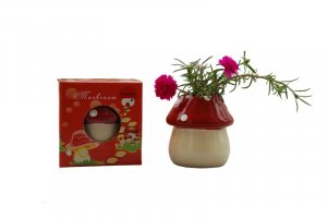 Mushroom planter; Mushroom gift;Ceramic Mushroom(red)