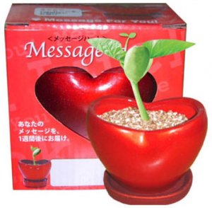 Heart-Shaped Garden Planters(GF-HPK)