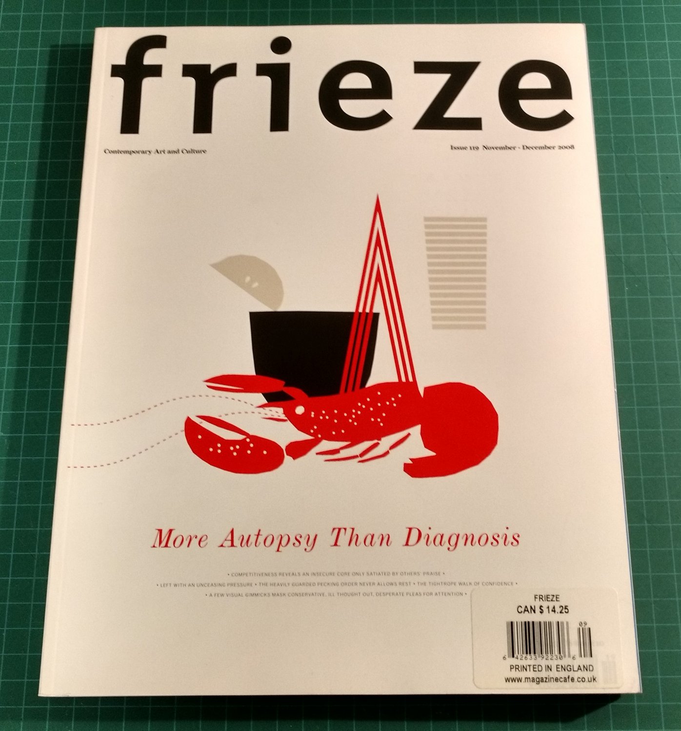 FRIEZE Contemporary Art & Culture Magazine Issue 119 November/December