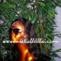 #1B Natural Body Wave
