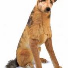 Melissa & Doug German Shepherd plush