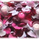 SENTED ROSE CANDLE & 1000 silk rose petals Factory sealed