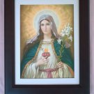 Sacred Heart of Mary #1