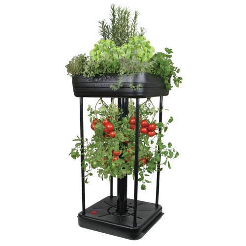 Upside Down Patio Garden Tomato Planter