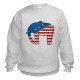 Political Designs