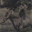 Tintype Outdoors Gent on Horse Tinted  Antique  Photo