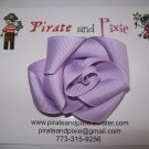 Lavender rose