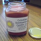12 oz Sex on the Beach Soy Candle