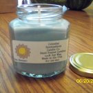 6 oz Sea Breeze Soy Candle