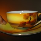 Noritake Cup and Saucer Hand Painted Very Pretty Scene 6 Available