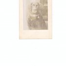 Vintage Photograph Dog With Floppy Ears And Beautiful Collar With Bell On Card Stock