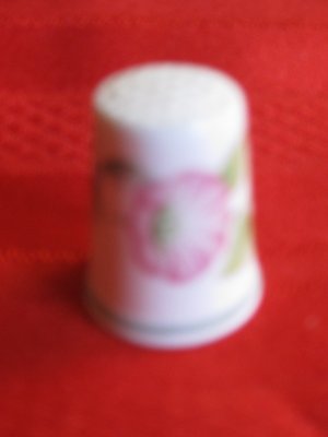 The Blossoms Of Spring Thimble Royal Grafton China England With Information Card