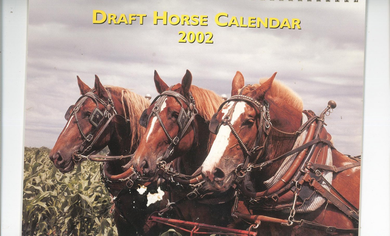 Draft Horse Calendar 2002 Mischka Farm