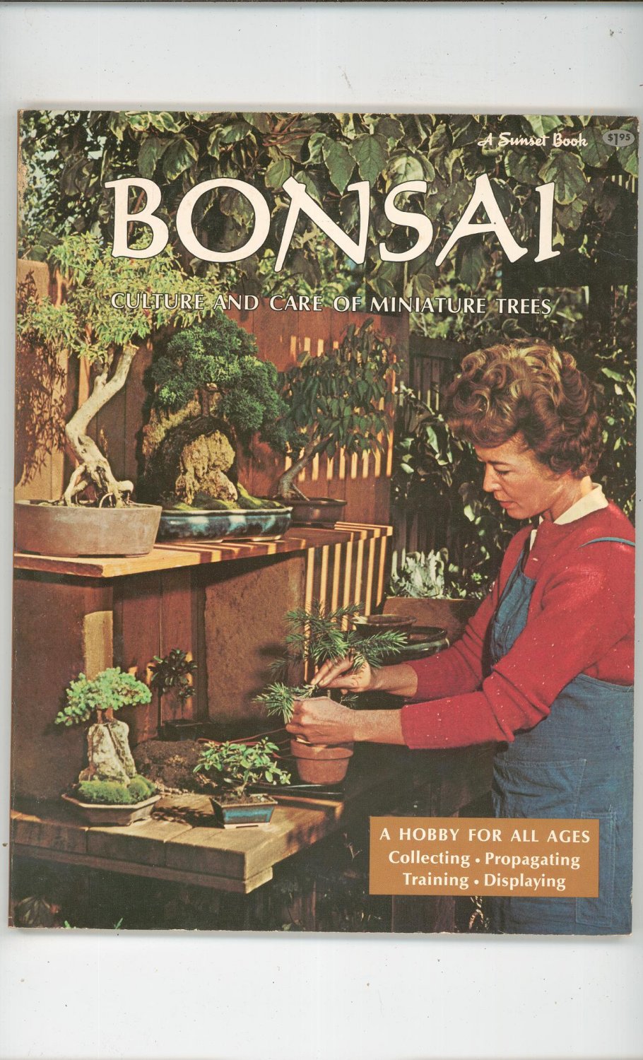 Bonsai Culture And Care Of Miniature Trees By Sunset Vintage 1972