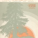 At Sundown Love Is Calling Me Home Sheet Music Vintage Leo Feist Inc.