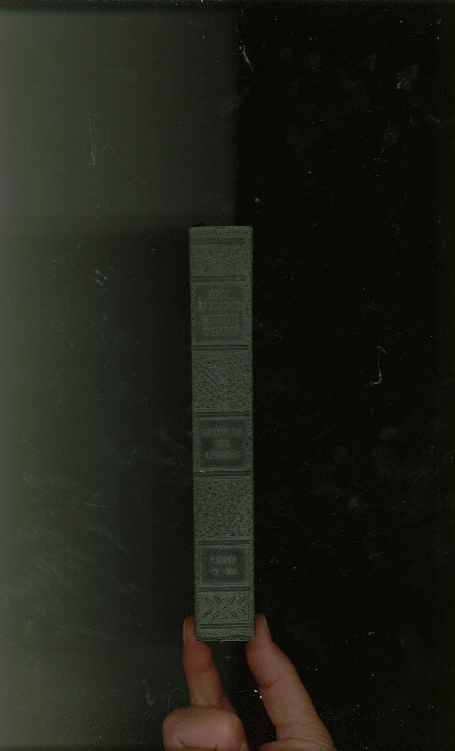 The Complete Writings Of John Burroughs Wake Robin Edition Volume XXI