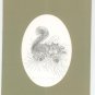 Bill Neat Squirell In Grass With Acorns Print / Picture Reflections In Nature