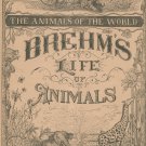Vintage Brehm's Life Of Animals Part 5 A. N. Marquis Publishers Animals Of The World Not PDF