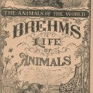 Vintage Brehm's Life Of Animals Part 4 A. N. Marquis Publishers Animals Of The World Not PDF