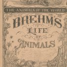 Vintage Brehm's Life Of Animals Part 24 A. N. Marquis Publishers Animals Of The World Not PDF