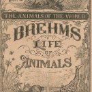 Vintage Brehm's Life Of Animals Part 20 A. N. Marquis Publishers Animals Of The World Not PDF