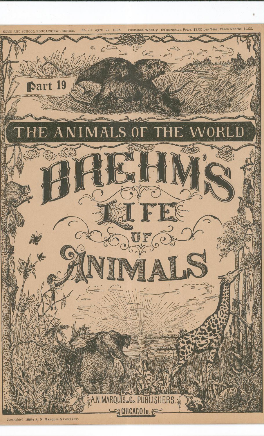 Vintage Brehm's Life Of Animals Part 19 A. N. Marquis Publishers Animals Of The World Not PDF