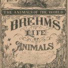 Vintage Brehm's Life Of Animals Part 19 A. N. Marquis Publishers Animals Of The World Not PDF