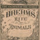 Vintage Brehm's Life Of Animals Part 17 A. N. Marquis Publishers Animals Of The World Not PDF