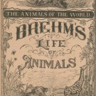 Vintage Brehm's Life Of Animals Part 10 A. N. Marquis Publishers Animals Of The World Not PDF