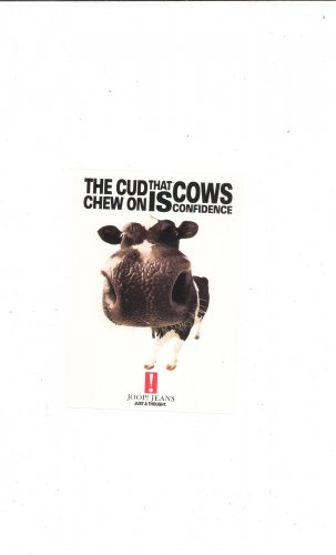 Joop Jeans Company Postcard Advertising 1996 The Cud That Cows Chew On Confidence