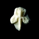 Iris Flower- Silicone Mold Soap Candy Plaster Cake Resin