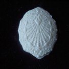 Filigree Shell -   Silicone Mold