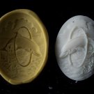 Dolphin Scene -  Silicone Mold