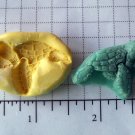 Turtle -  Silicone Mold