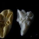 Fairy B  -  Silicone Mold
