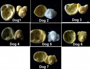 Large Dog Set  -Silicone Mold Soap Cake Candy Chocolate Chips