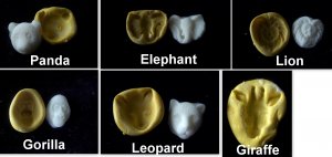 Large Animal Safari Set  -Silicone Mold Soap Cake Candy Chocolate Chips