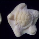Sea Turtle -  Silicone Mold