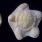 Sea Turtle -  Silicone Mold