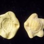 Sea Turtle -  Silicone Mold