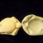 Turtle -  Silicone Mold