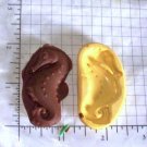 Seahorse- Silicone Mold- Candy Cake Clay Cookies Crafts