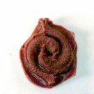 Fish- Silicone Mold- Candy Cake Clay Cookies Crafts