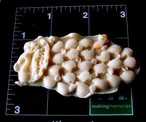 Peacock Bird- Cake Candy Cookies Crafts-  Silicone Mold