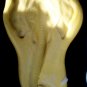 Elephant-  Cake Candy Cookies Crafts-  Silicone Mold