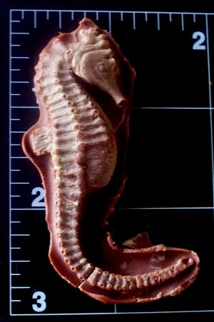 Seahorse -  Cake Candy Cookies Crafts-  Silicone Mold